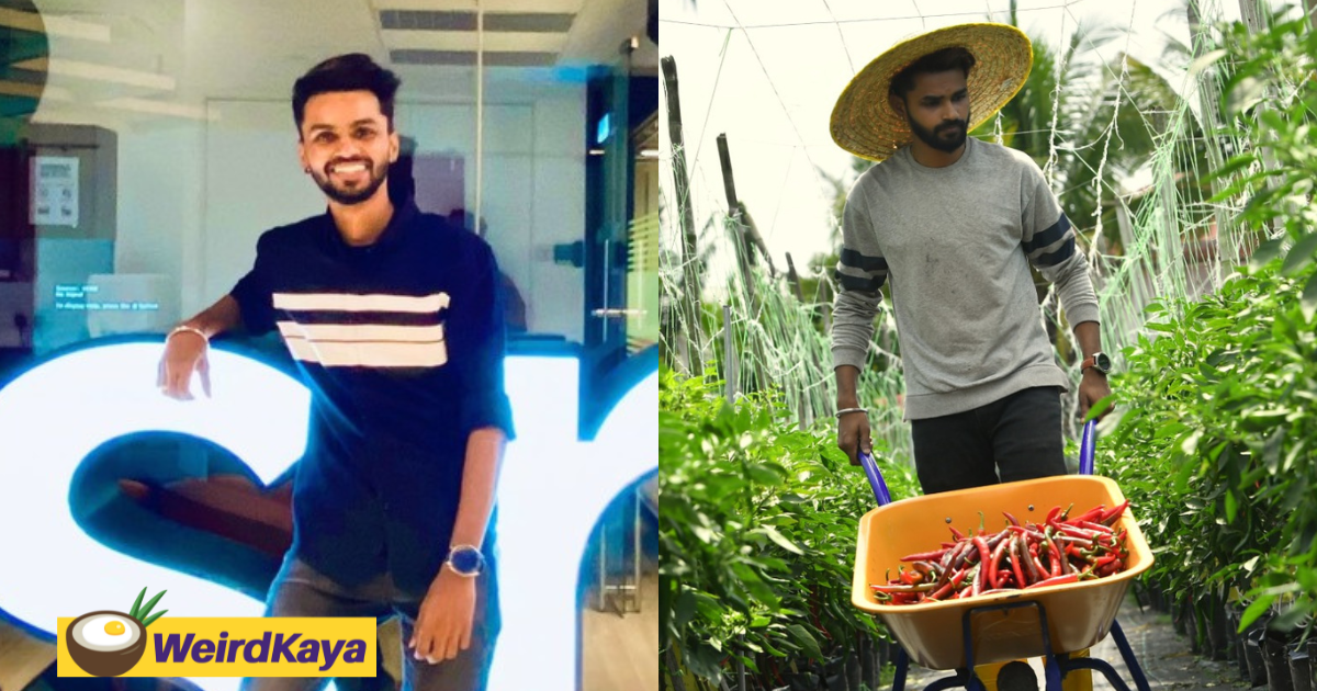 I Quit My Job As An Engineer To Become A Farmer At 30yo & Now I Earn RM50,000 Per Season