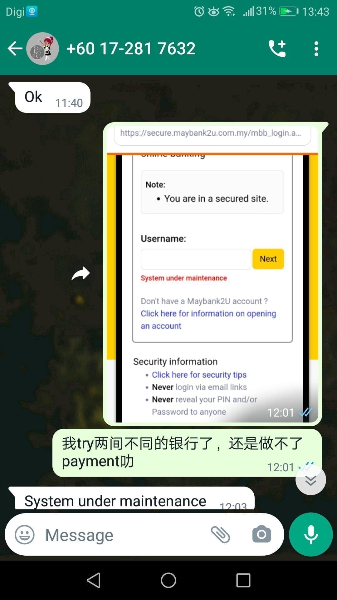 Penangite scammed by Cleaning Application