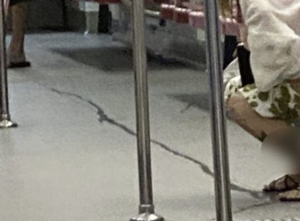 SG woman pees on MRT