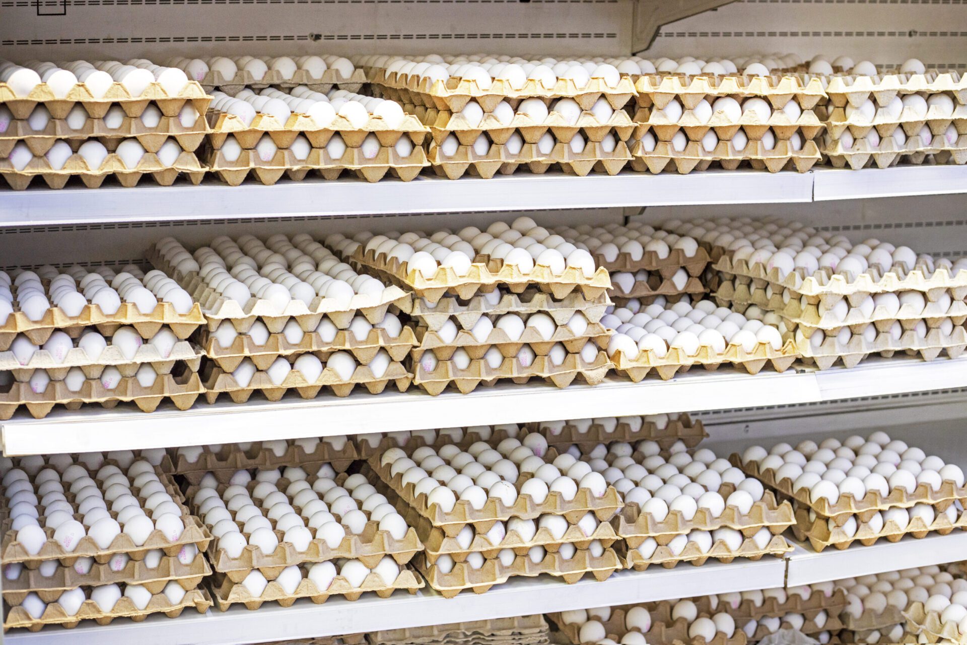 Eggs sourced from cage-free farms, displayed for consumers in grocery outlets.