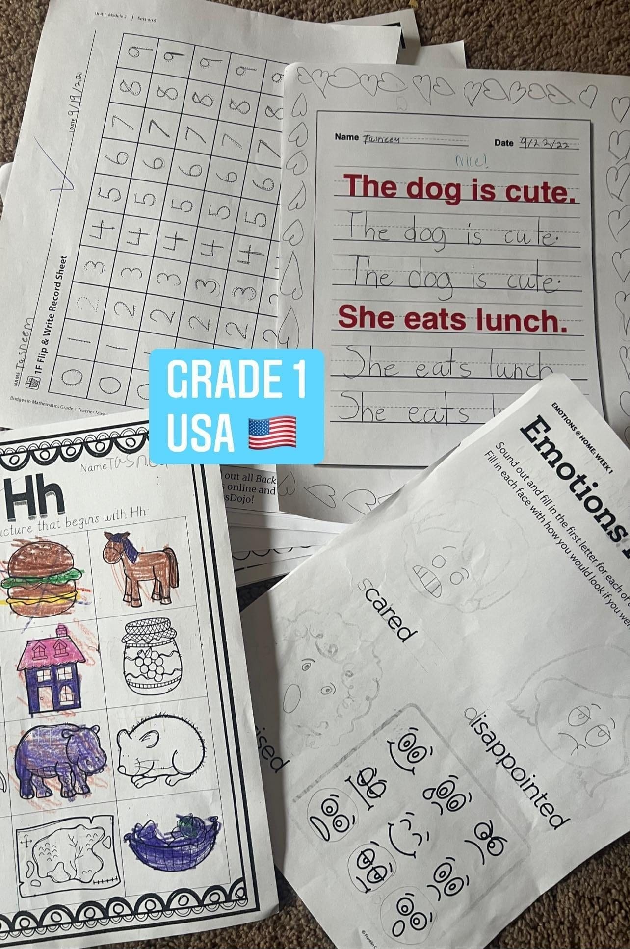 M'sian Dad Shares Why US Grade 1 Syllabus Is Much Simpler Than Std 1 Syllabus In M'sia