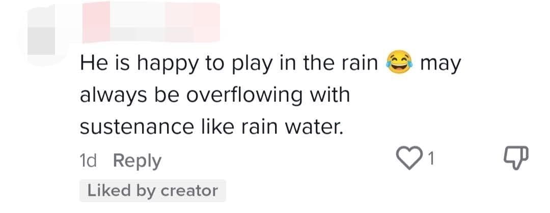 Clip Of foodpanda Rider Dancing In The Rain Is Sure To Put A Smile On Your Face