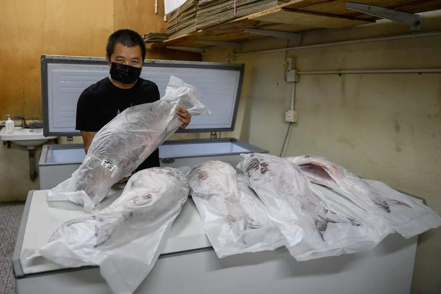 SG TikToker Spends RM3300 Eating Sarawak River Fish But Netizens Feel It Isn't Worth It