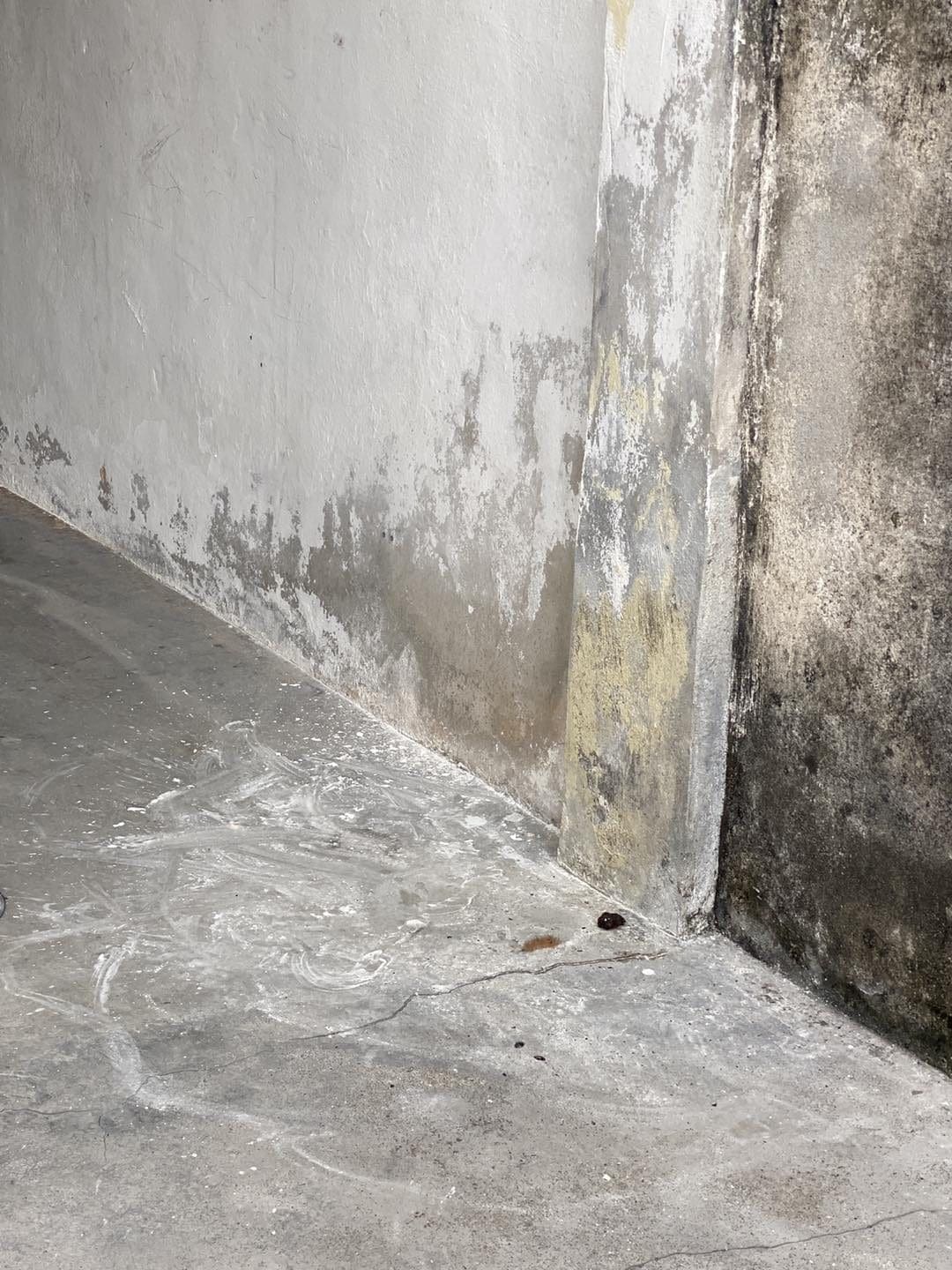 Rottweiler Found Hanging From A Leash In Penang, Owner Claims It Was An Accident