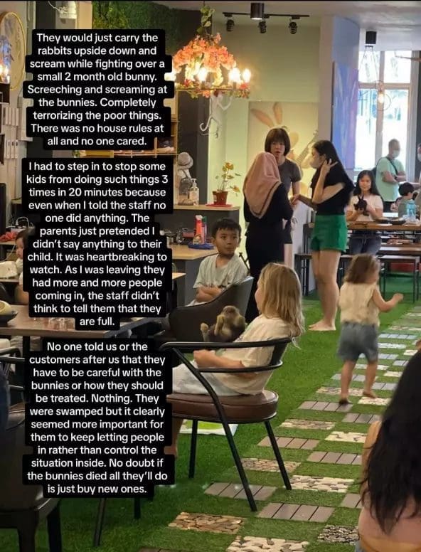 Msian complains about the mistreatment of animals at a pet-friendly cafe