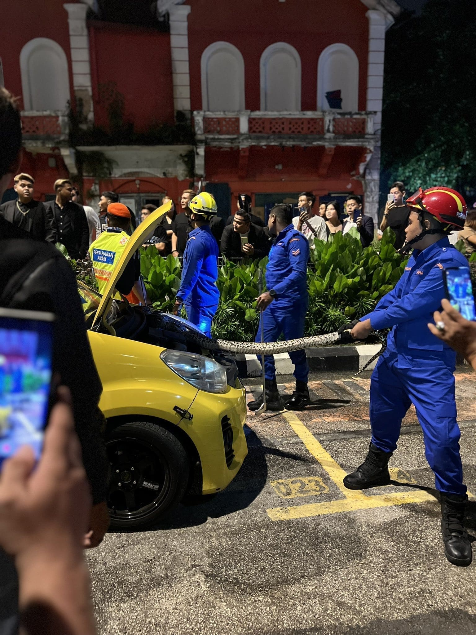 Snake inside myvi's engine at Jalan Doaraisamy