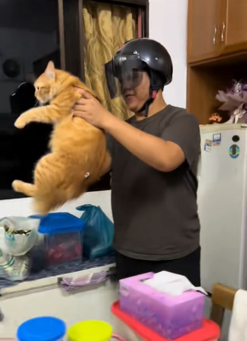 M’sian Man Protects Himself From Oyen’s Relentless Swipes With Helmet