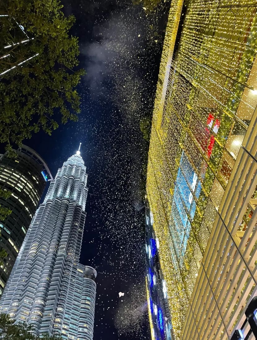 Snow falling from above