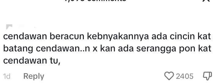 M’sian Family Hospitalised After Eating Mushrooms Near Home, Thought They Were Safe To Eat - comment