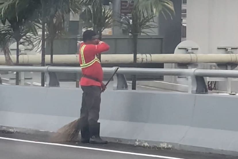 street cleaner grabs white cat