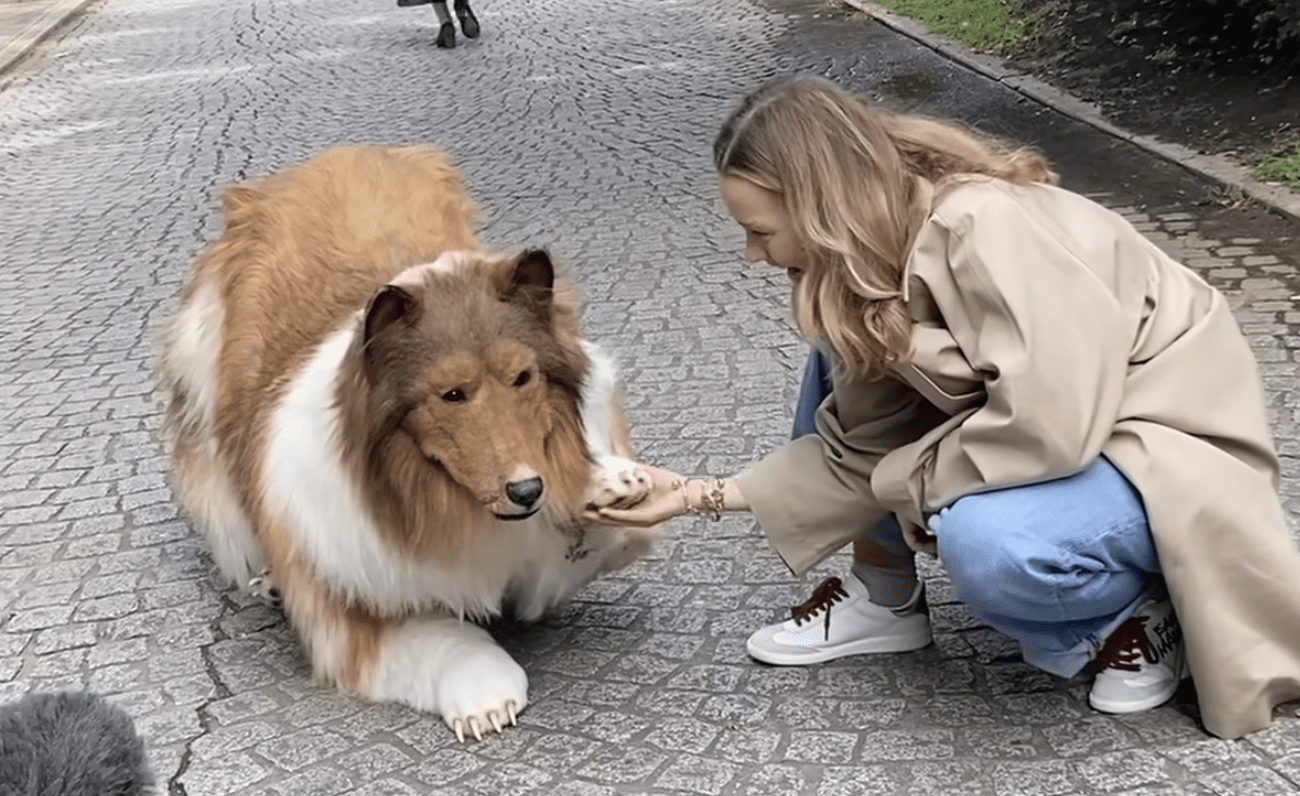 Japanese Man Spends RM65k To Fulfil His Dream… As A Dog 1