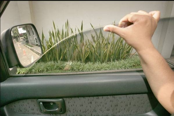 car windows