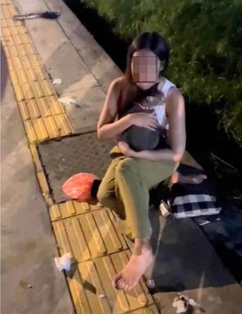 "I Only Care About My Cat" — Penang Woman Rushes To Cat's Aid After Crashing Her Car In An Accident