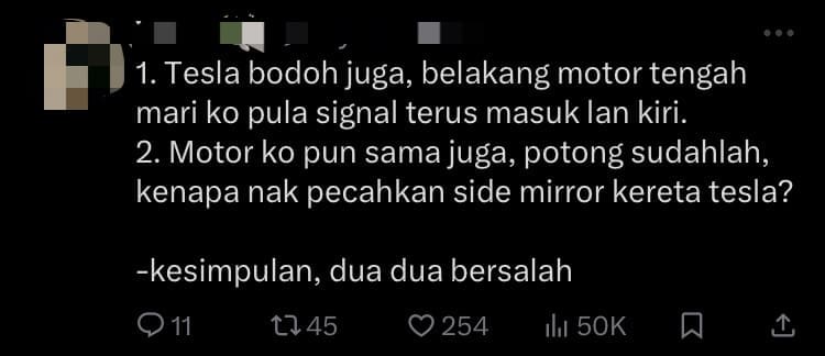 Tesla Driver Rams Into M'sian Motorcyclist Who Hit Side Mirror Out Of Anger comment 2