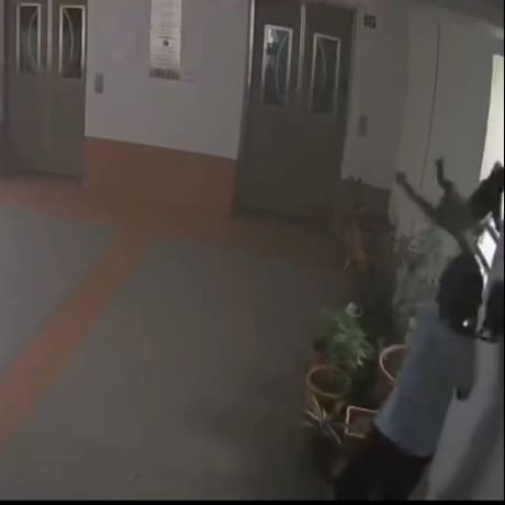 S'porean Boy Flings Cat Off 22nd Floor, Enraged Netizens Demand Justice