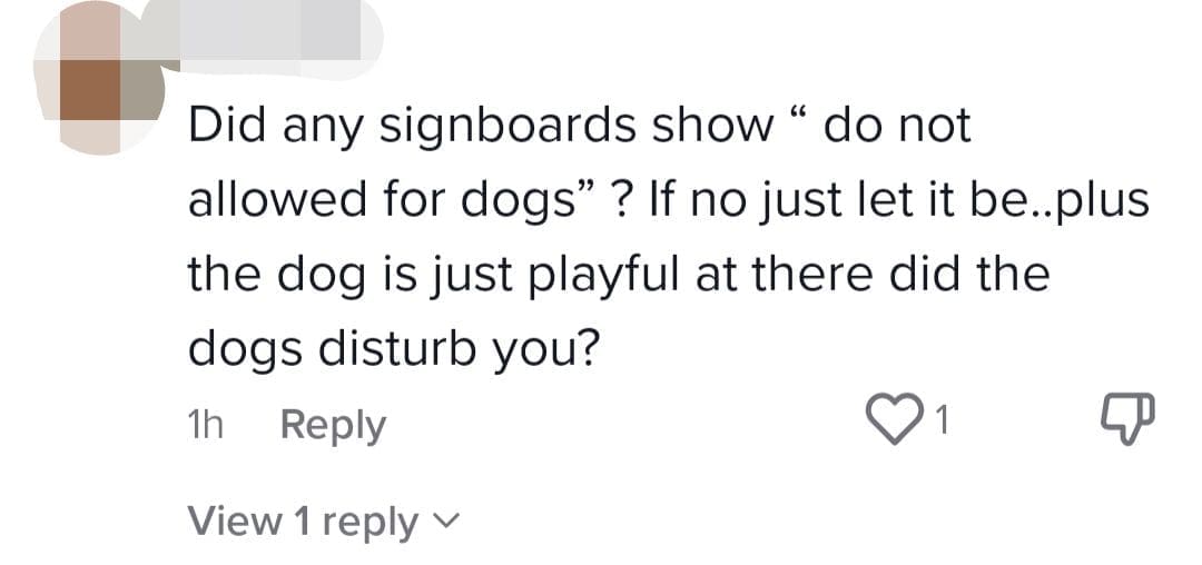 M'sian Woman Scolded For Letting Dogs Play The Slide, Draws Mixed Reactions From Netizens comment 4