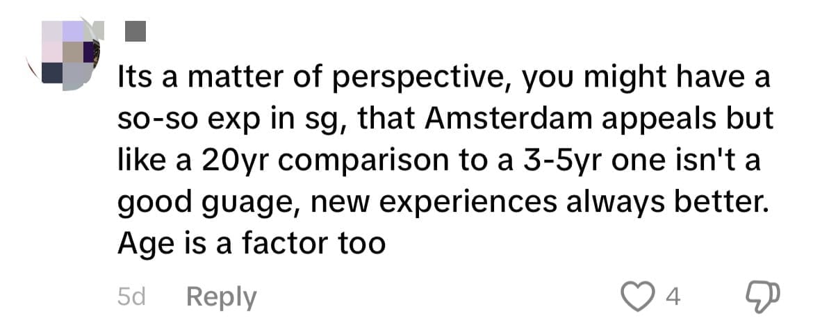 'Too Many Perverts Here' — SG Woman Says She Moved To Amsterdam As She Felt Unsafe comment 5