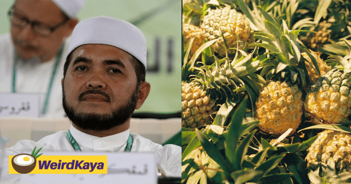 Grow Pineapples If You Want To Earn Money, Deputy Agriculture Minister Tells B40 M'sians