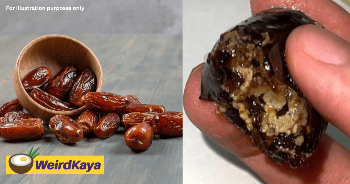 "No Wonder It Tasted Soft & Sweet" — M'sian Horrified To Find Maggot Eggs Insides Dates