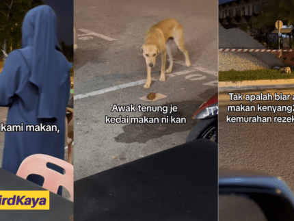 M'sian Woman Praised For Feeding Fried Chicken To Hungry Stray Dog