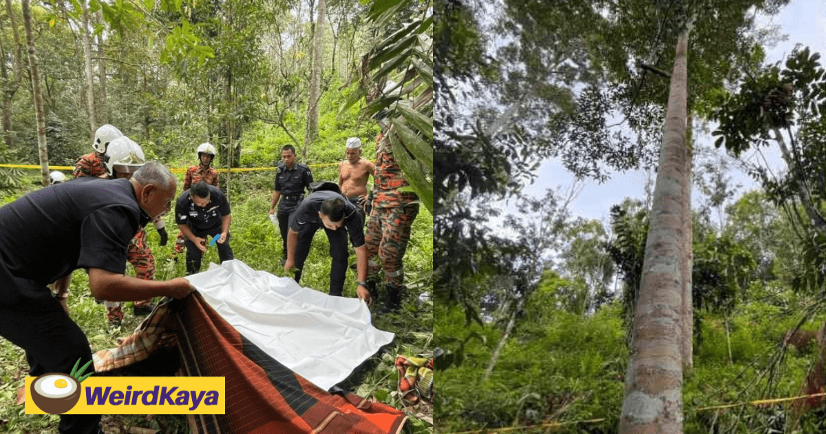 44yo M'sian Man Falls 30m From Durian Tree, Dies On The Spot