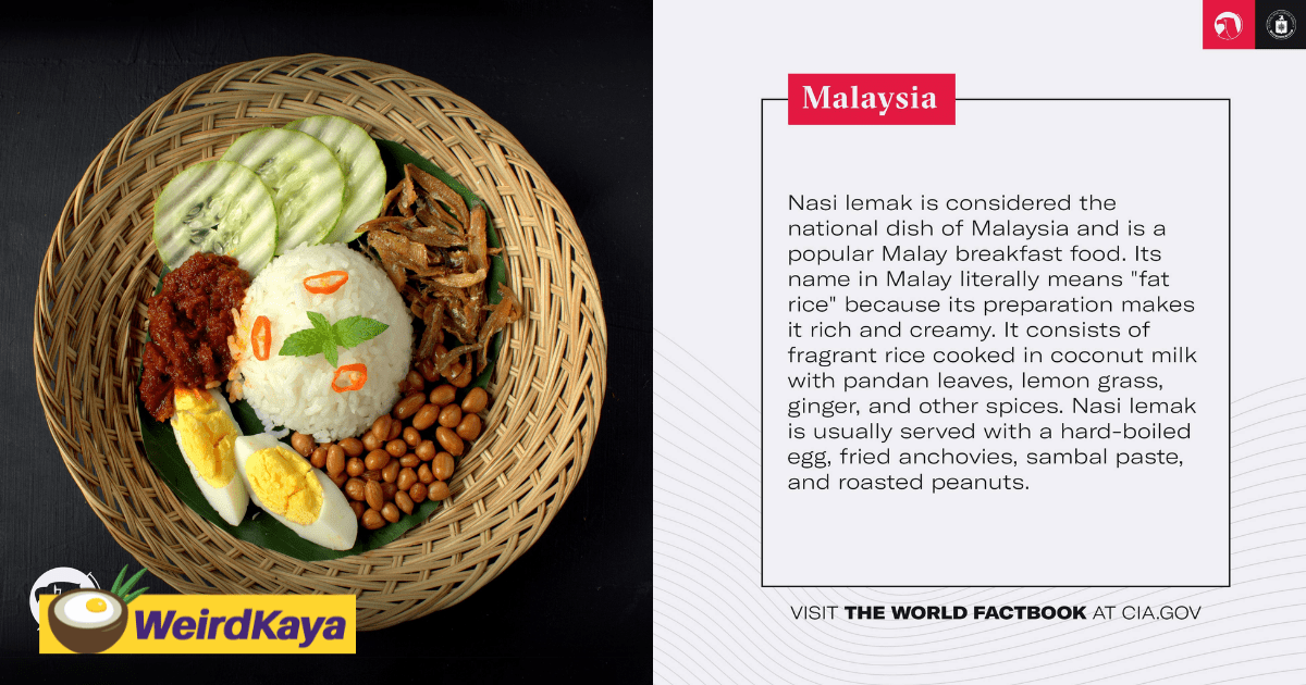 The CIA Just Called Nasi Lemak 'Fat Rice' & M'sians Can't Stop Talking About It
