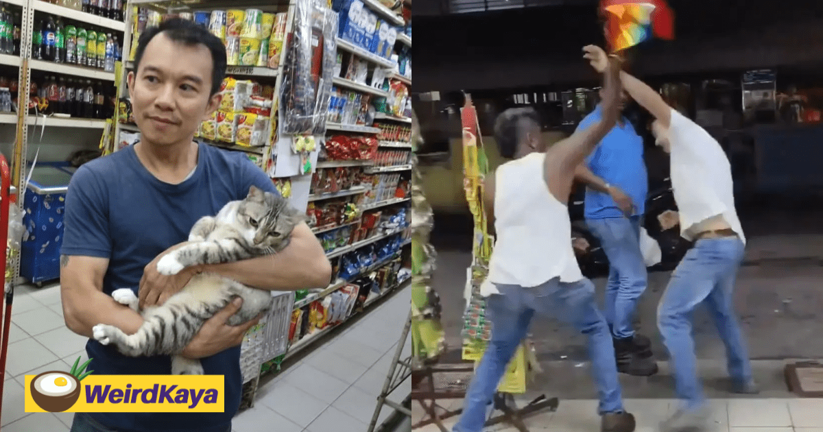 M'sians From All Over Are Coming Just To See Cat Featured In Viral Penang Fight Clip