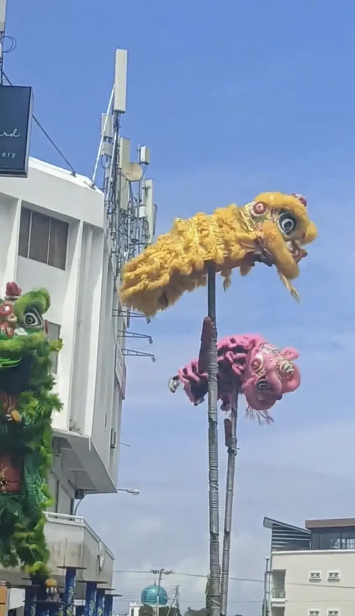 lion dancers