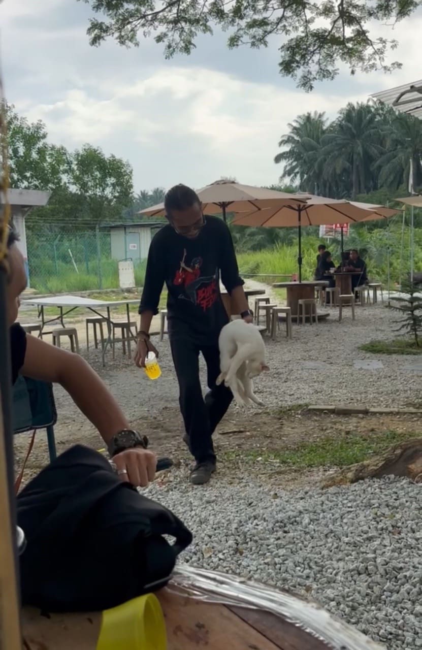 man carrying a white cat