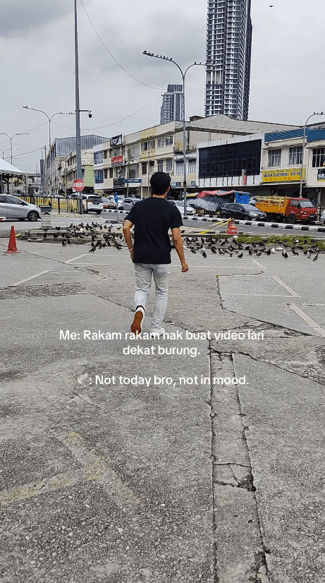 man running towards a bunch of birds