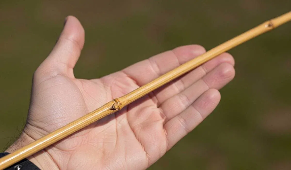 man showing a cane