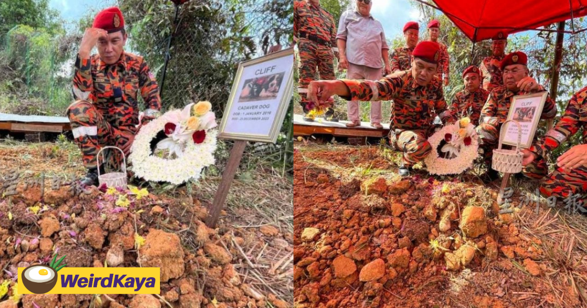 M'sian Firefighter Cries After His Rescue Dog Cliff Passes Away 