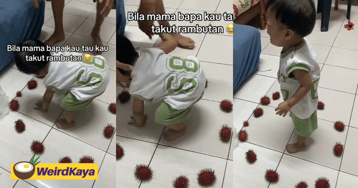 M'sian Kid Cries Non-Stop After He's Being 'Surrounded' By Rambutans