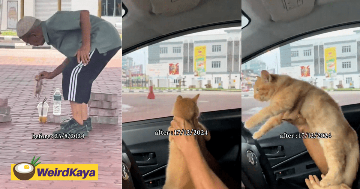 M'sian Man Adopts Skinny Oyen, Brings It Back To Where He First Found It 4 Months Later