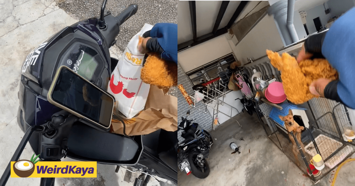 M’sian Rider Helps Feed Dog After Owner Orders Fried Chicken While Away