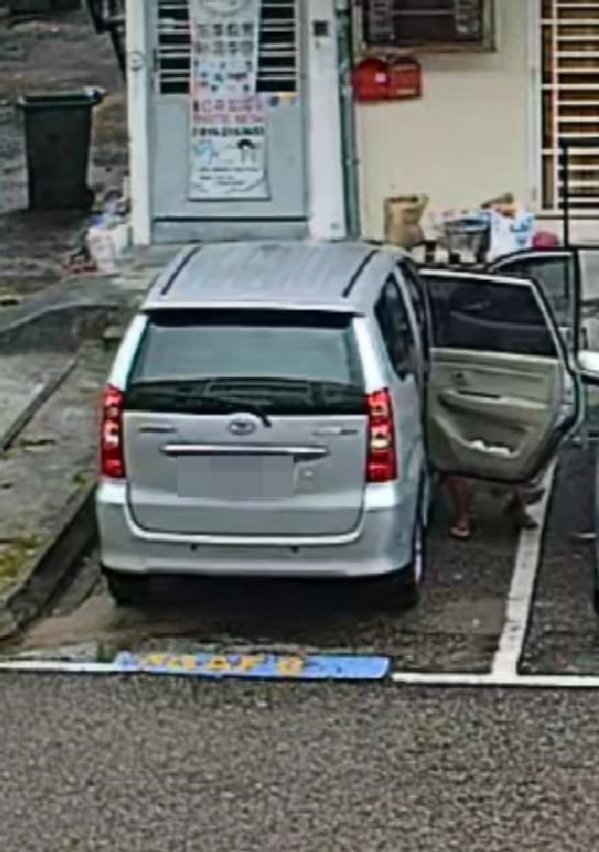 msian woman peed on road