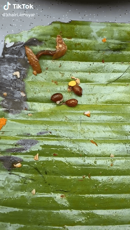 M'sian Man Baffled By RM2.50 Nasi Lemak Which Only Had Two Ikan Bilis & Three Peanuts