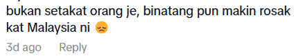 netizen comment on tiktok 3