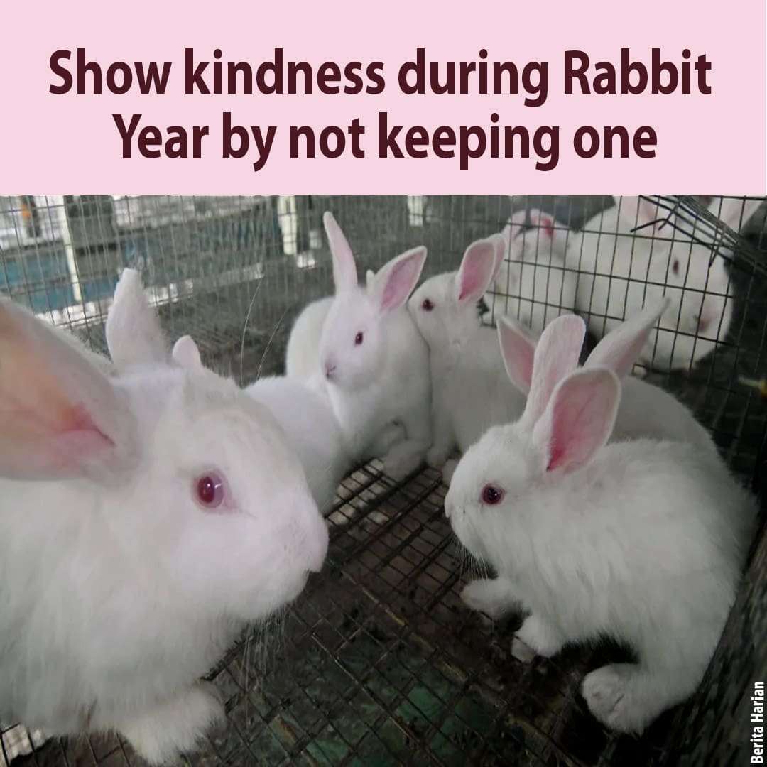 CAP pet rabbit FB post