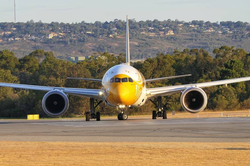 Scoot airplane