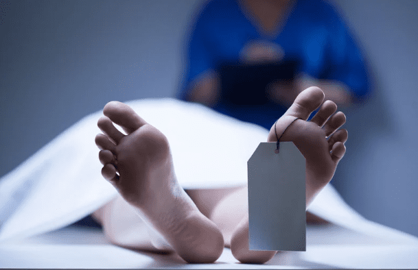 9yo M'sian Girl Dies After Choking On Rambutan Seed
