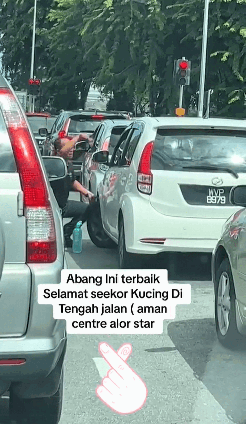 M'sian Police Officer Praised For Saving Kitten Trapped On A Myvi's Tyre