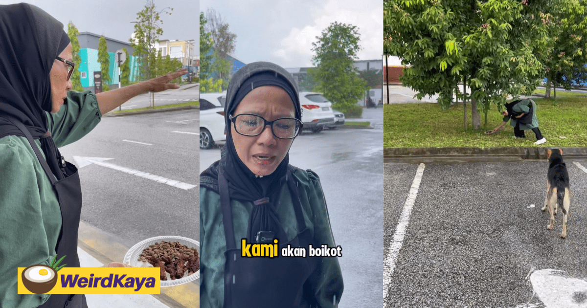 'They're God's Creation Too' - M’sian Restauranteur Faces Boycott Threats For Feeding Stray Dogs