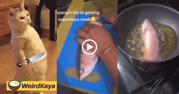 Wife deep-fries husband's pet fish after he breaks promise to clean the fish tank