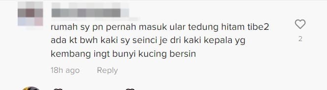 M'sian Mum Saves 4 Sleeping Kids from Cobra That Invaded Their House At Midnight comment 2