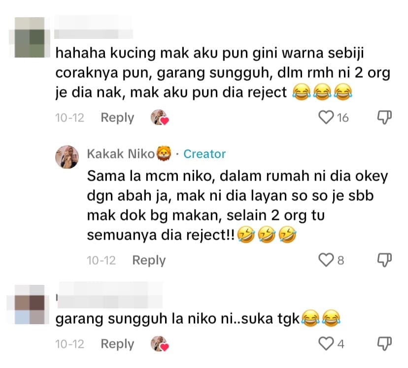 M’sian Man Protects Himself From Oyen’s Relentless Swipes With Helmet comment 1