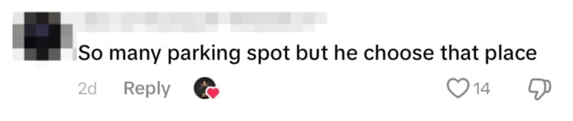 netizen comment