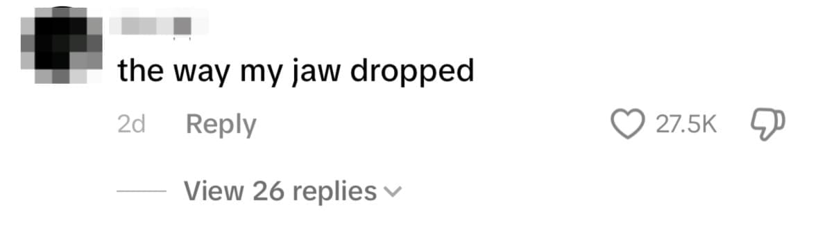 netizen comment