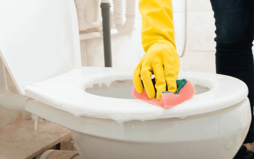 Woman cleaning toilet bowl