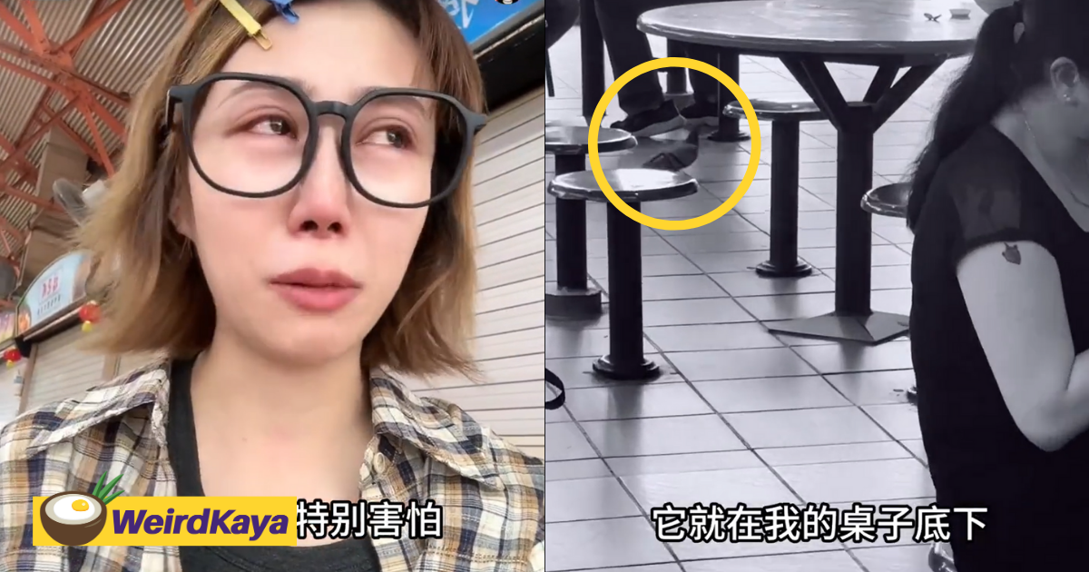 China tourist cries non-stop after seeing pigeons, says she'll never visit sg again | weirdkaya